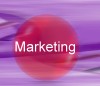 Product Launches